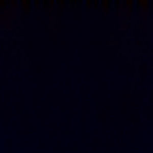 Meet your Posher, Isabella